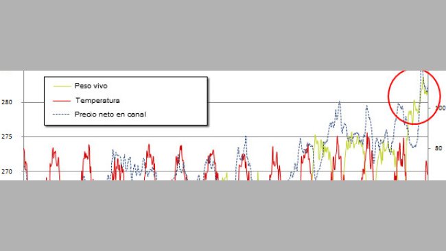 Peso vivo medio a matadero en EEUU vs. temperatura media semanal en Des Moines, Iowa y precio recibido por el productor. Fuentes: USDA, AMS market news service y la universidad de Dayton