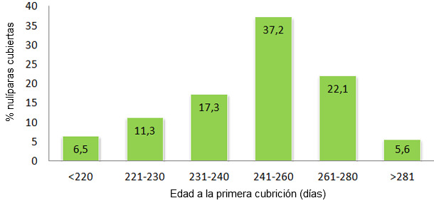 Edad a la primera cubrición en 2012