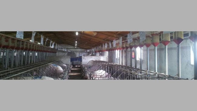 Días no productivos (2/2): 16.000 € escondidos en la gestación