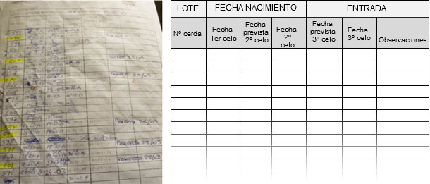 Formulario de control de celos de nulíparas