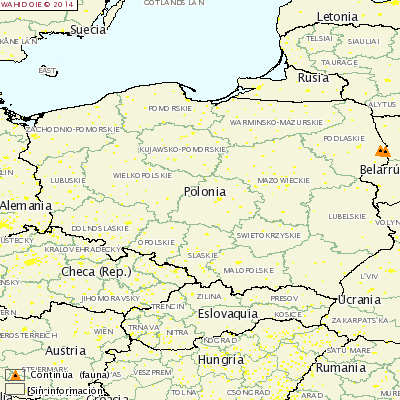 10 y 11 focos de PPA en Polonia