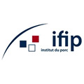 ifip