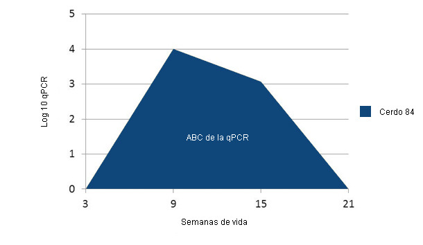 Ejemplo del cálculo de la ABC en las qPCR frente a PCV2 en cada individuo