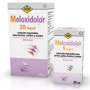 Meloxidolor-2-pres.jpg