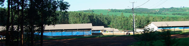 Granja porcina