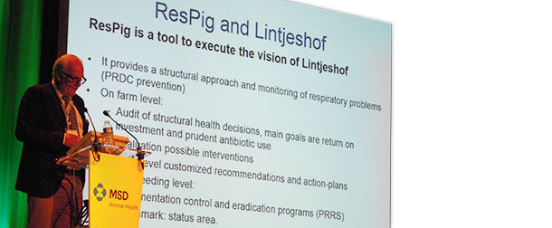 Frans Dirven, consultor porcino y director de la clínica verterinaria holandesa Lintjeshof, explicó su experiencia práctica sobre la implementación de ResPig