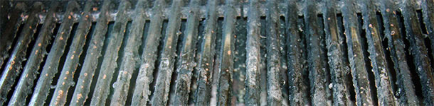 La meteorología no ha favorecido las barbacoas alemanas