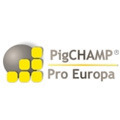 Pigchamp pro Europa
