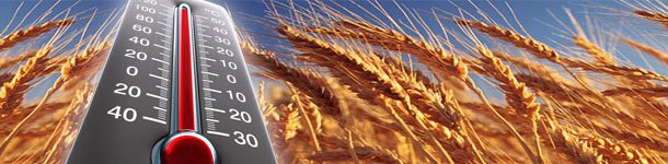 El calor del verano incendia los mercados