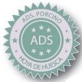 ADS Huesca.jpg