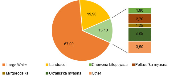 distribucion de cerdas segun raza en ucrania