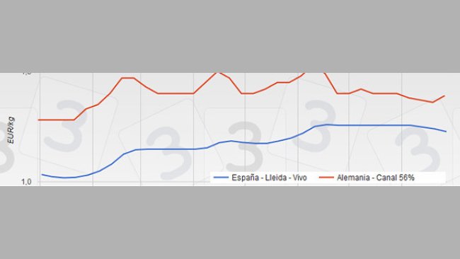 Precios del cerdo en España y Alemania desde enero a agosto de 2015