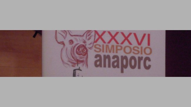 XXXVI Simposio Anaporc