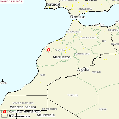 aftosa-marruecos