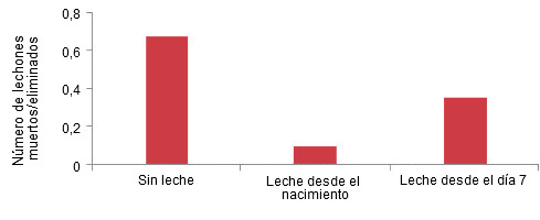 Efecto de la suplementación con leche artificial en lactación sobre la pérdida del lechones