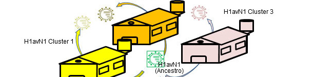 Heterogenicidad genética y antigénica relacionada con la granja