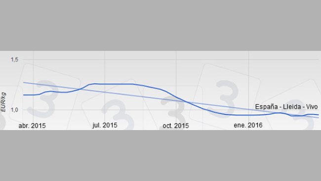 Precio del cerdo en España - Lleida - Vivo