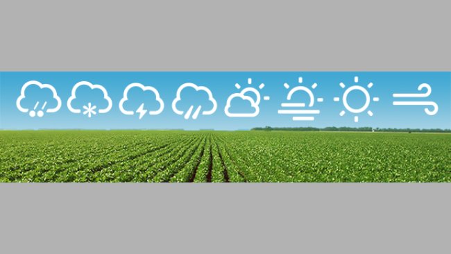 Weather Market
