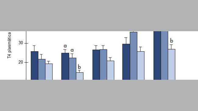 Influencia de la temperatura y el consumo de pienso sobre las concentraciones plasmáticas de T3