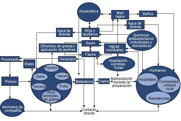 Resistencia antimicrobiana