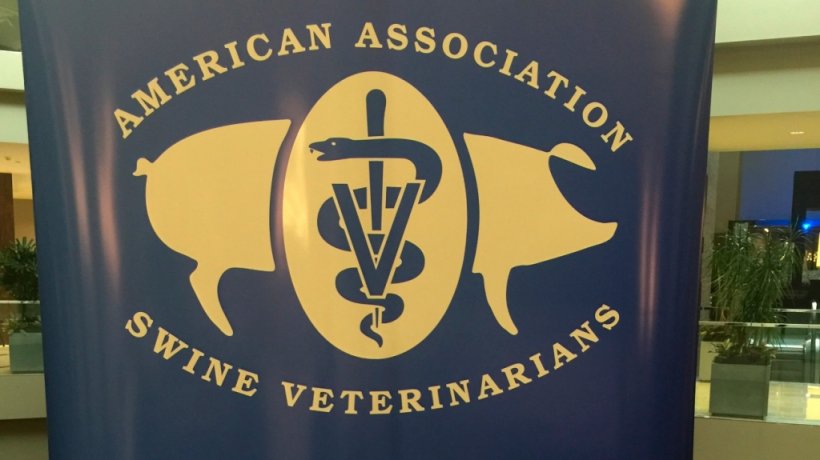 AASV 1