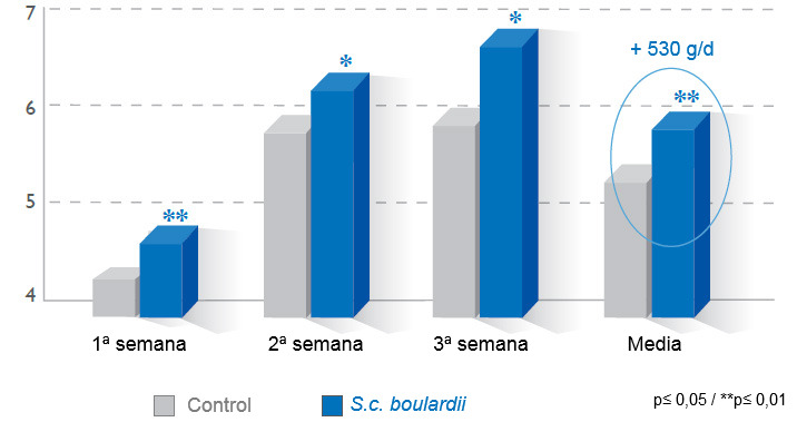 Consumo medio diario de pienso en lactación (kg)