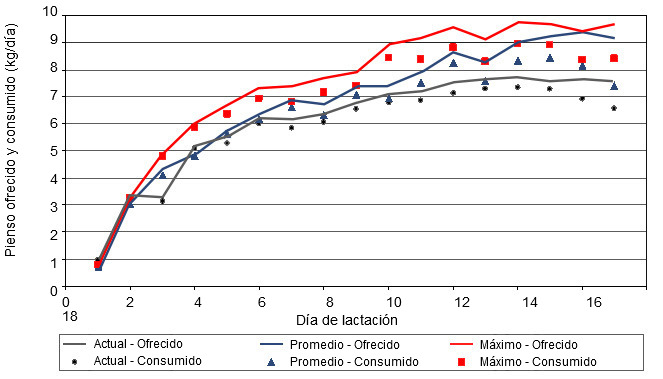 Comparación entre pienso ofrecido y pienso consumido diariamente para diferentes curvas de alimentación 