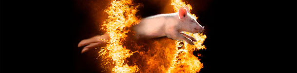 El muro de calor del septiembre