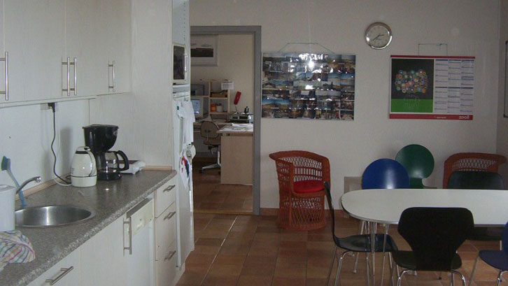 Cocina y comedor de una granja 1