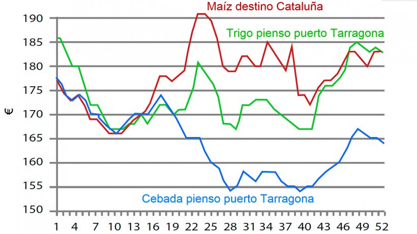 Gráfico 1. Evolución semanal del precio del trigo, el maíz y la cebada en 2016. Fuente: Lonja de Barcelona.