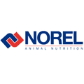 Norel 1