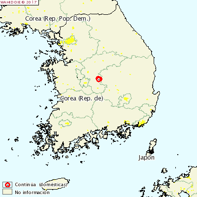 Fiebre Aftosa en Corea 1