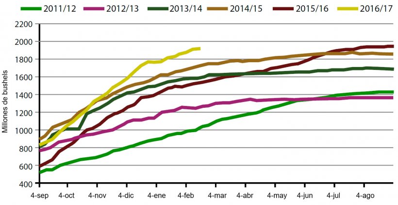 Gráfico 3. Volumen semanal de exportaciones de haba de soja USA en la campaña actual y las cinco anteriores (millones de bushels). Fuente: USDA