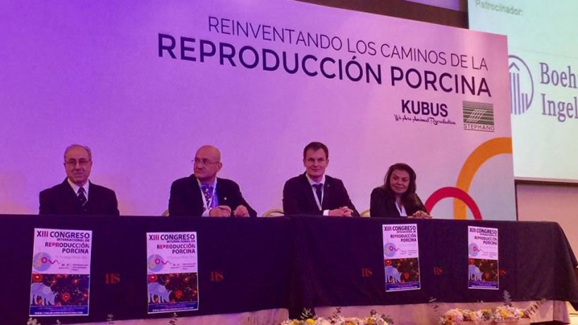 XIII Congreso Internacional de Reproducci&oacute;n Porcina &quot;Dr. Santiago Mart&iacute;n Rillo&quot;
