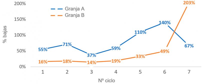 Gr&aacute;fico 1. Porcentaje de cerdas eliminadas por n&ordm; de ciclo (n&ordm; cerdas eliminadas por ciclo/censo medio por ciclo) en 2016
