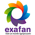 Exafan