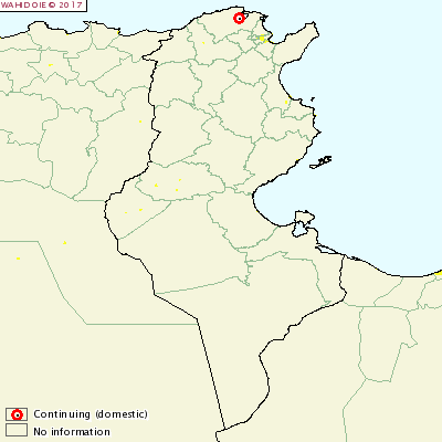 Foco de fiebre aftosa en Túnez 1