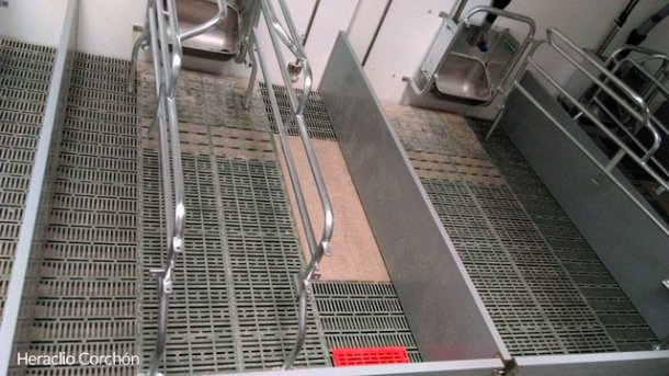Maternidad con suelo de plástico para lechón y cerda. En la parte más frontal, el suelo de la cerda es más opaco.
