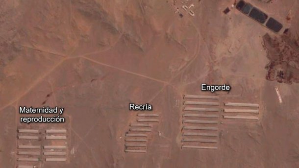 Foto 1. Distribución de la granja.