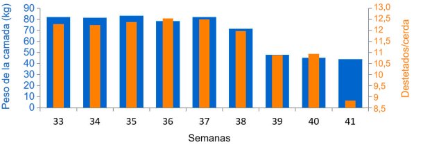 Gráfica 3. Promedio de lechones destetados/hembra y kilogramos de camada, antes y durante el cuadro sanitario de PED (a partir de la semana 38).