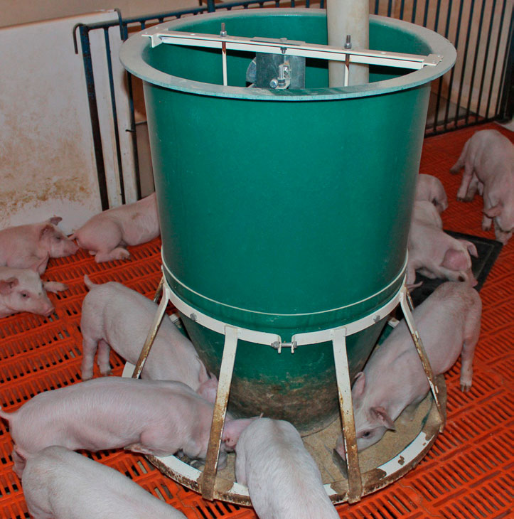 Osborne&rsquo;s FAST Start&trade; feeder allows pigs to grow from wean to finish on a single feeder with virtually no attention, adjustments, or wasted feed.

