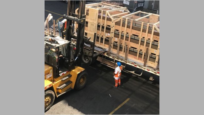 Primer envío de ganado Hypor a Perú