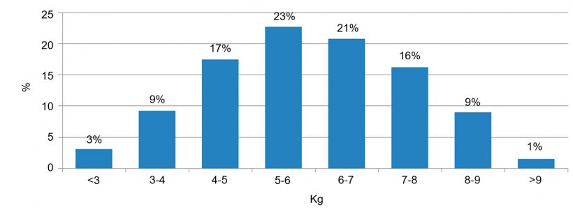Figura 2. Distribuci&oacute;n de los animales seg&uacute;n el peso a la entrada al destete. La diferencia entre el 5% de cerdos con menos peso y el 5% con m&aacute;s peso es de 6kg.
