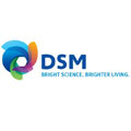 DSM