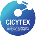 Cicytex