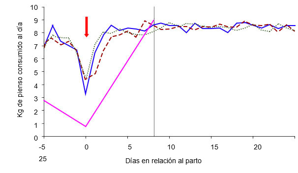 Gr&aacute;fico 4: Esquema de alimentaci&oacute;n de las cerdas en funci&oacute;n de la condici&oacute;n corporal de la cerda el d&iacute;a 105 y del r&eacute;gimen de alimentaci&oacute;n: ad libitum (verde, azul, rojo) o est&aacute;ndar (rosa) &nbsp;(A. Cools, 2014)
