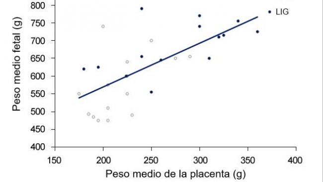 Gráfica 3. Tanto en el grupo control (CTR)  como en el grupo ligado (LIG), grupo al que se le cerró un oviducto, el peso de los fetos es dependiente del peso de la placenta.  (Town, 2005).
