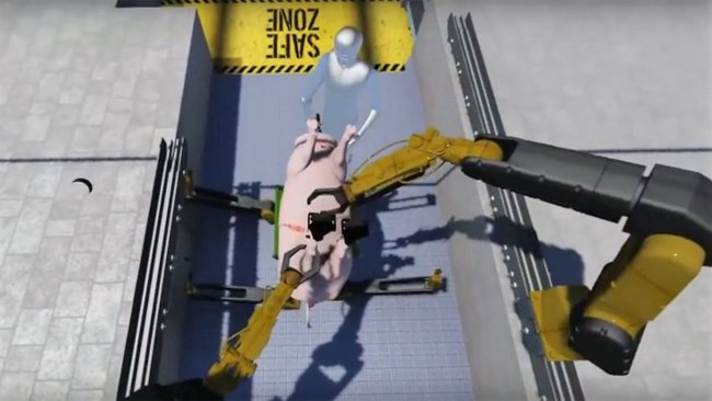 Análisis de la robotización y automatización en salas de sacrificio y mataderos.