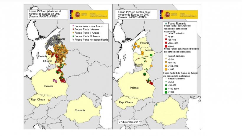 Mapa focos declarados en Estonia, Letonia, Lituania, Polonia, Rep. Checa y Rumanía en 2017 (Fuente RASVE-ADNS)