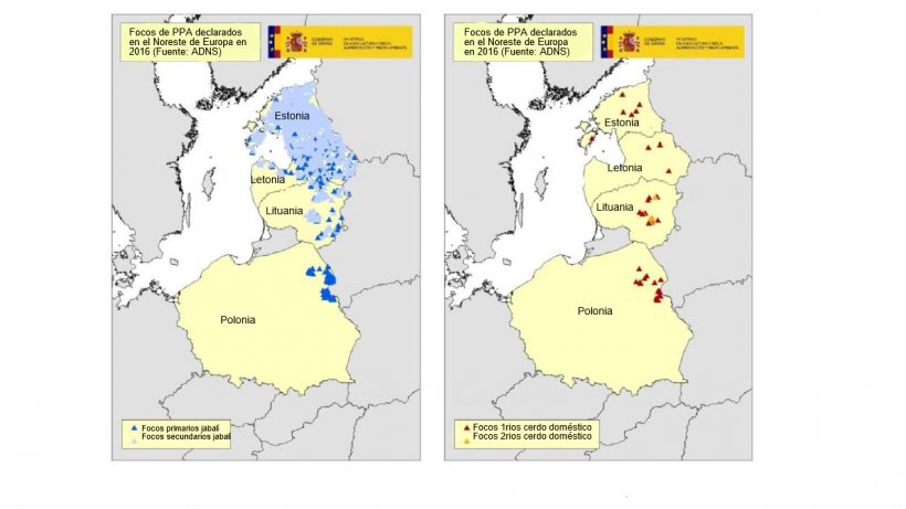 Mapas focos declarados en Estonia, Letonia, Lituania y Polonia en 2016 (Fuente RASVE-ADNS)